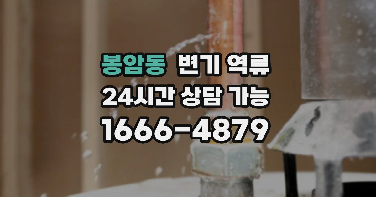 봉암동 변기 역류