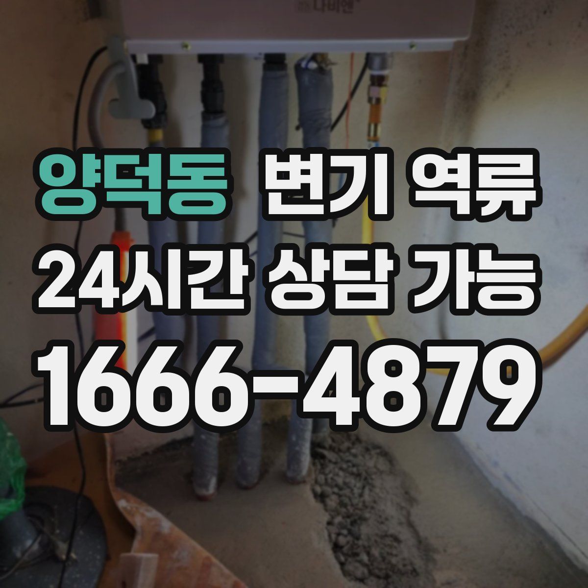 양덕동 변기 역류