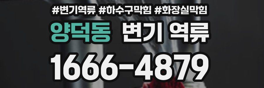 양덕동 변기 역류