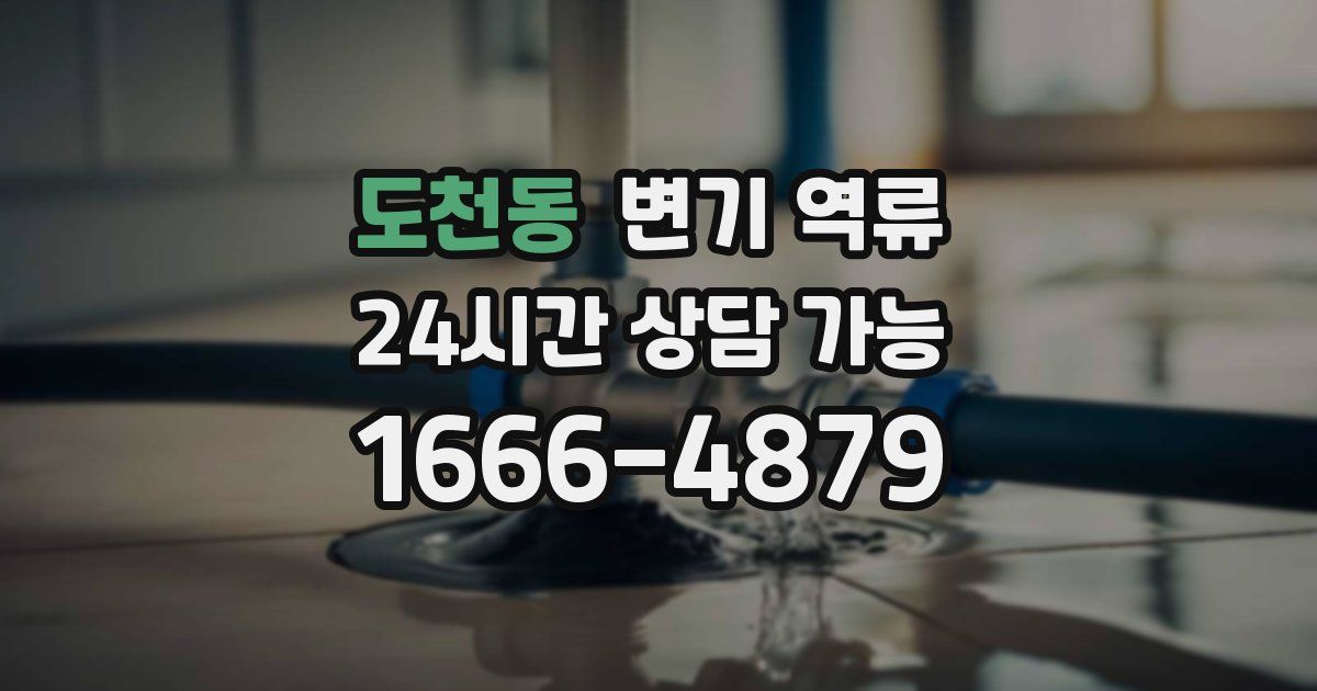 도천동 변기 역류