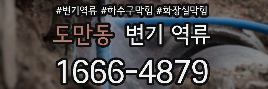 도만동 변기 역류