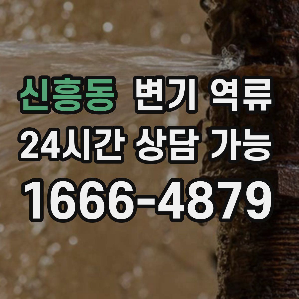 신흥동 변기 역류