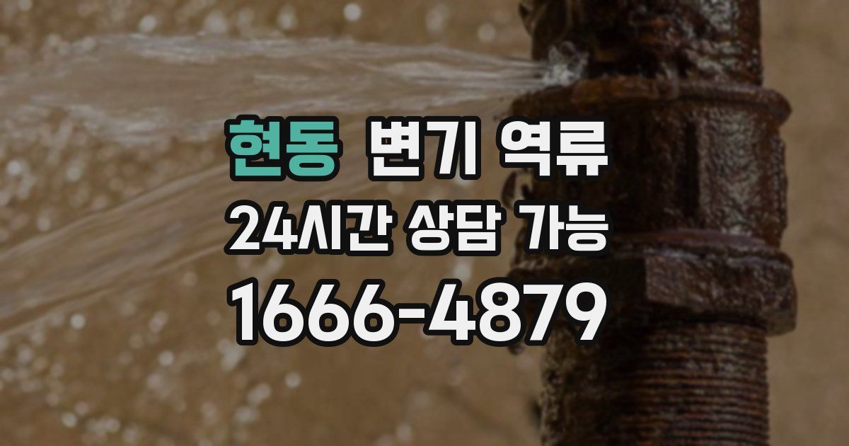 현동 변기 역류