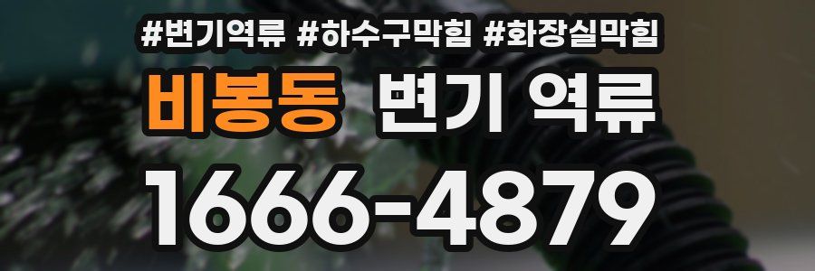 비봉동 변기 역류