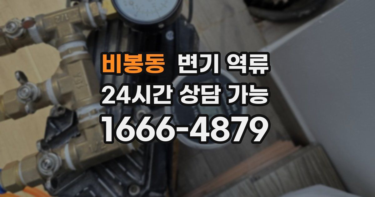 비봉동 변기 역류