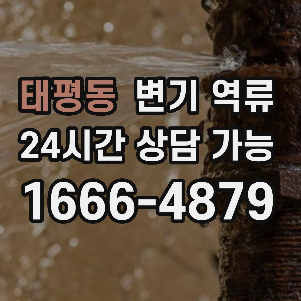 태평동 변기 역류