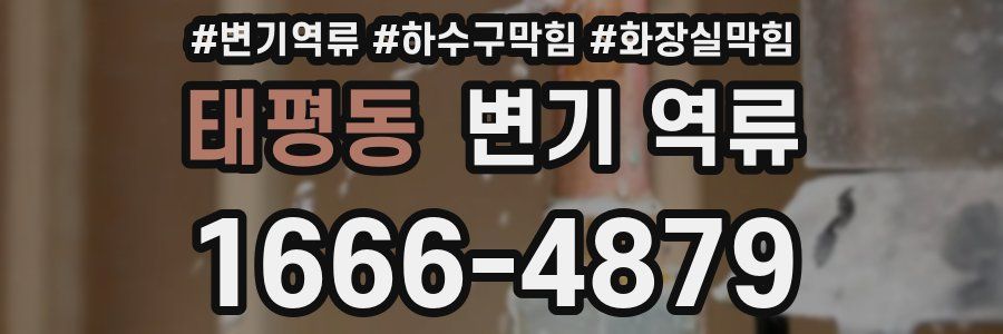 태평동 변기 역류