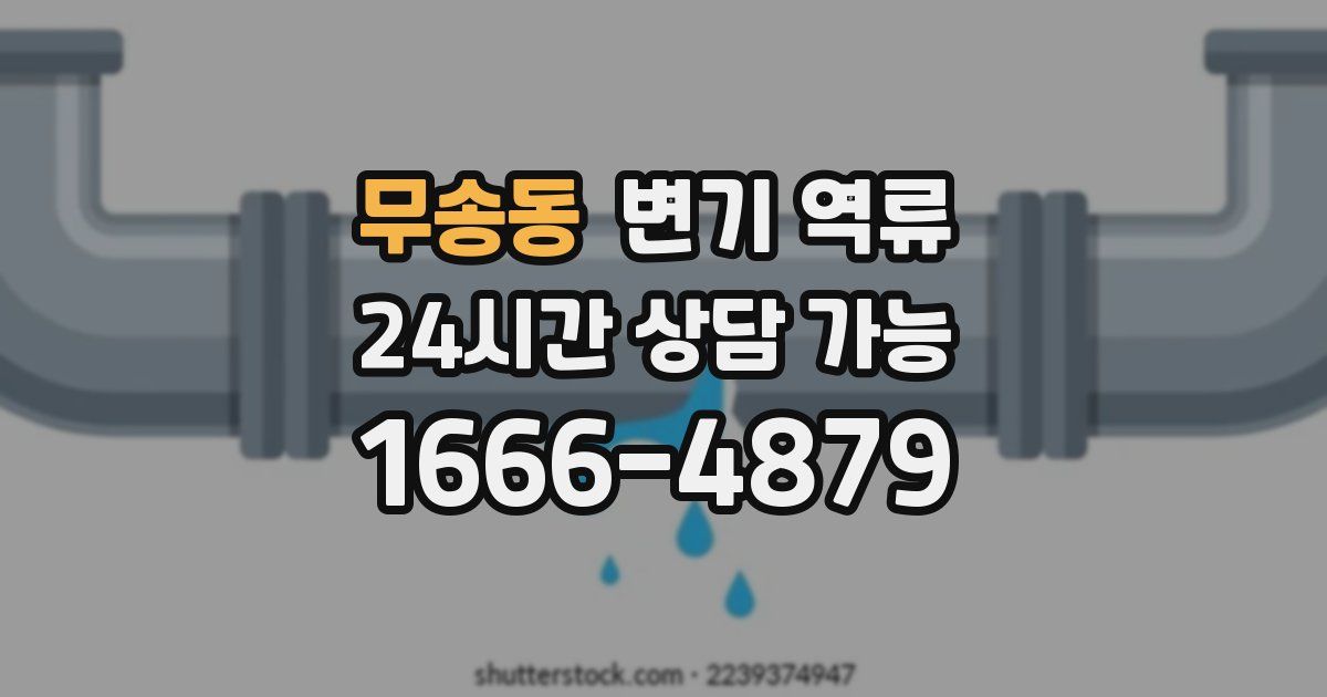 무송동 변기 역류