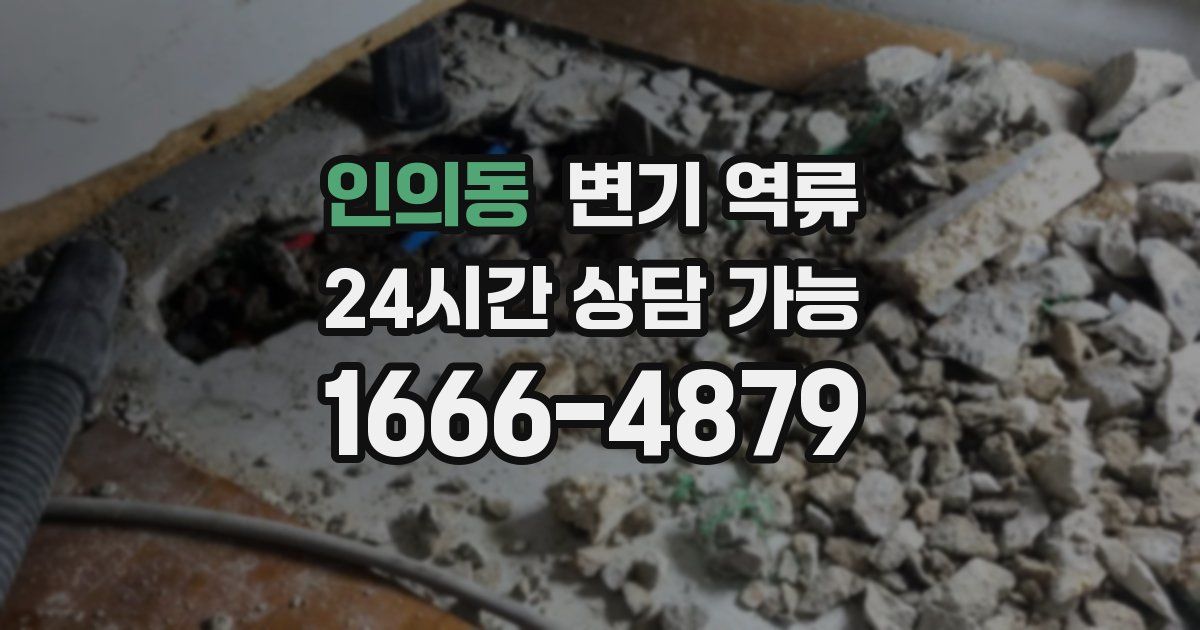 인의동 변기 역류