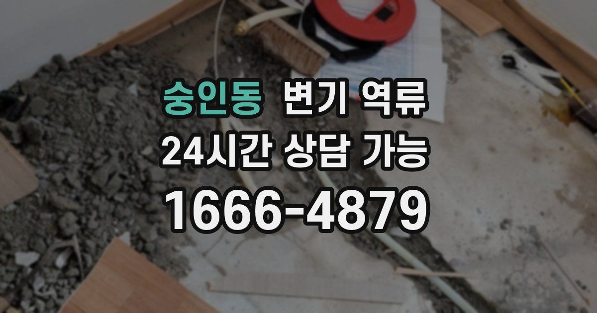 숭인동 변기 역류