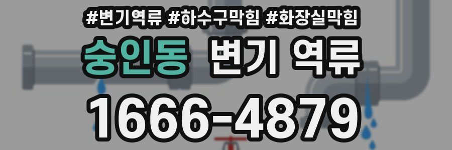 숭인동 변기 역류