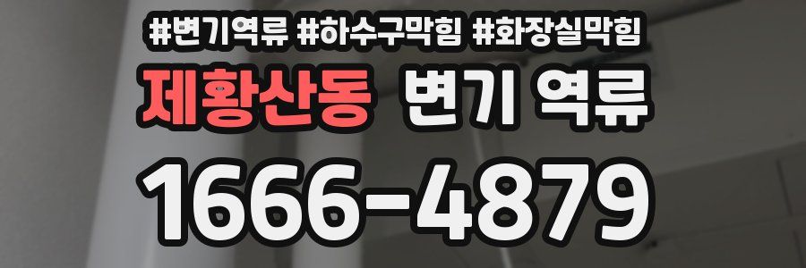 제황산동 변기 역류