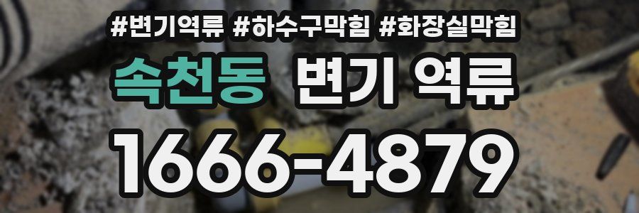 속천동 변기 역류