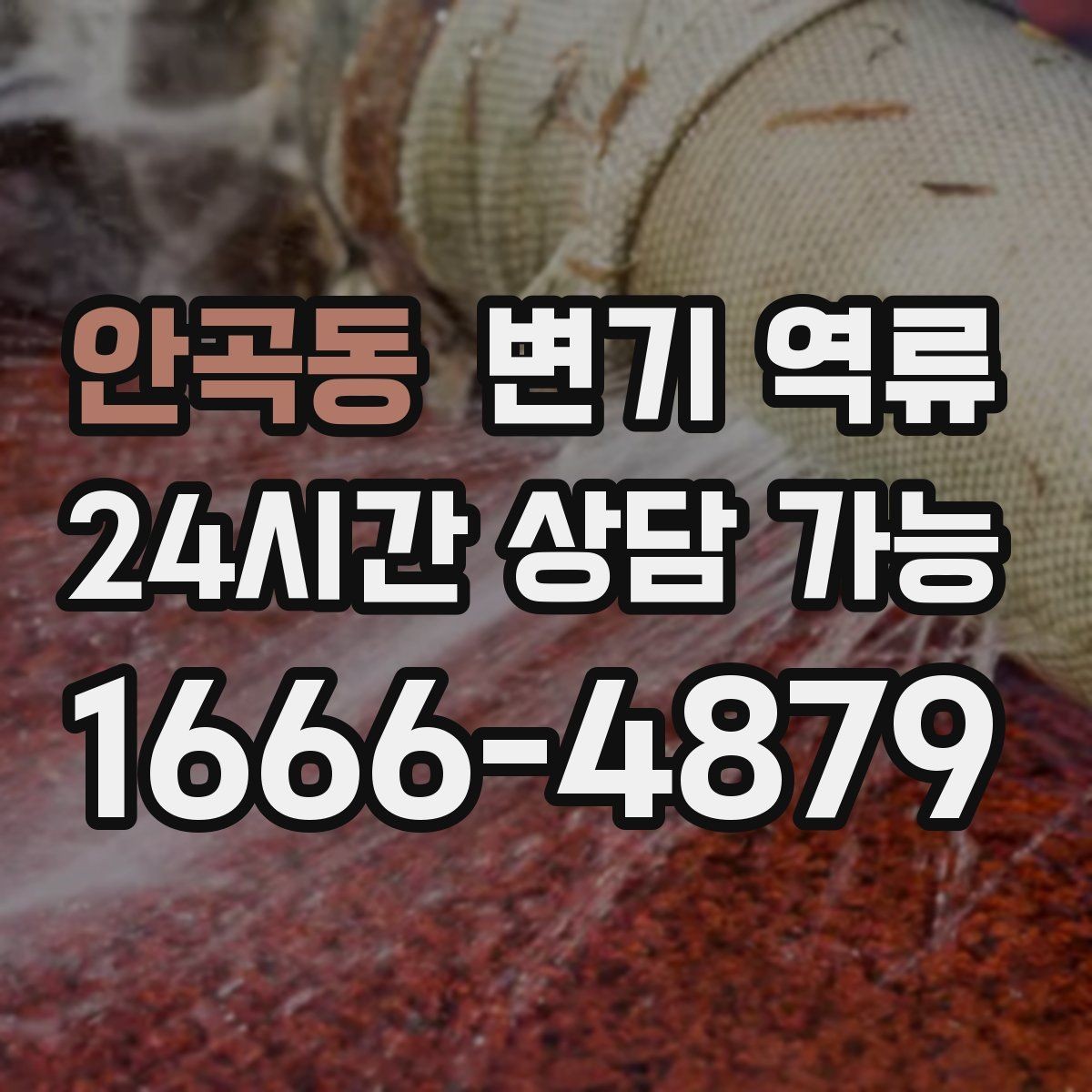 안곡동 변기 역류 꾸르륵 소리와 함께 올라올 때 의심할 것
