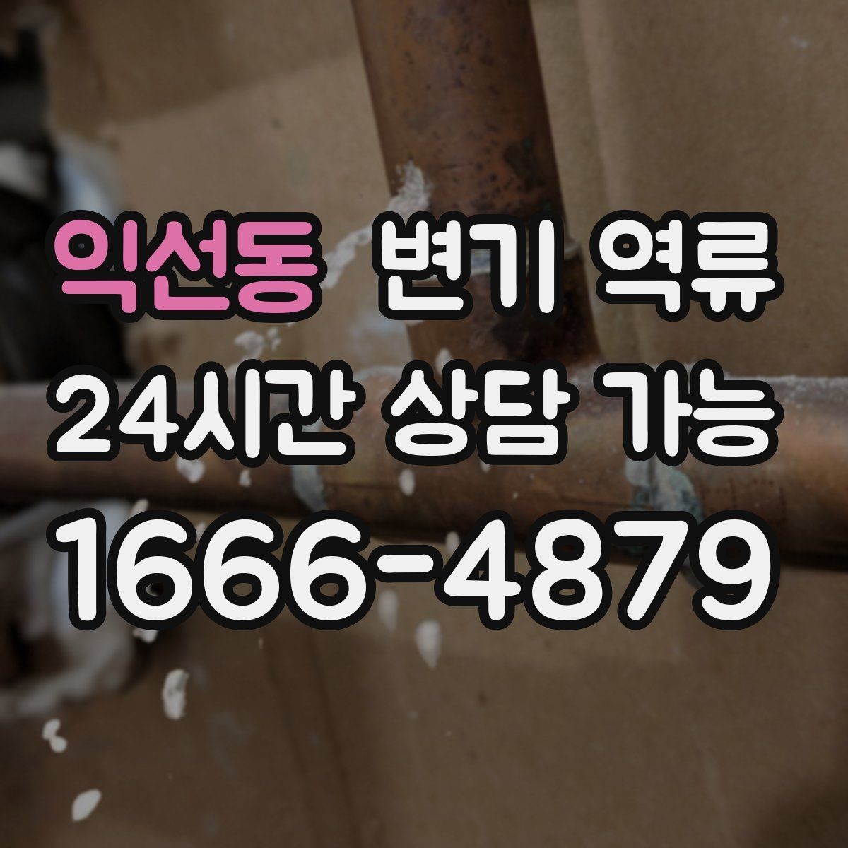 익선동 변기 역류 갑자기 물이 차오를 때 가장 먼저 해야 할 일