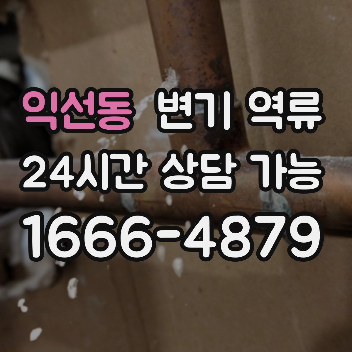 익선동 변기 역류