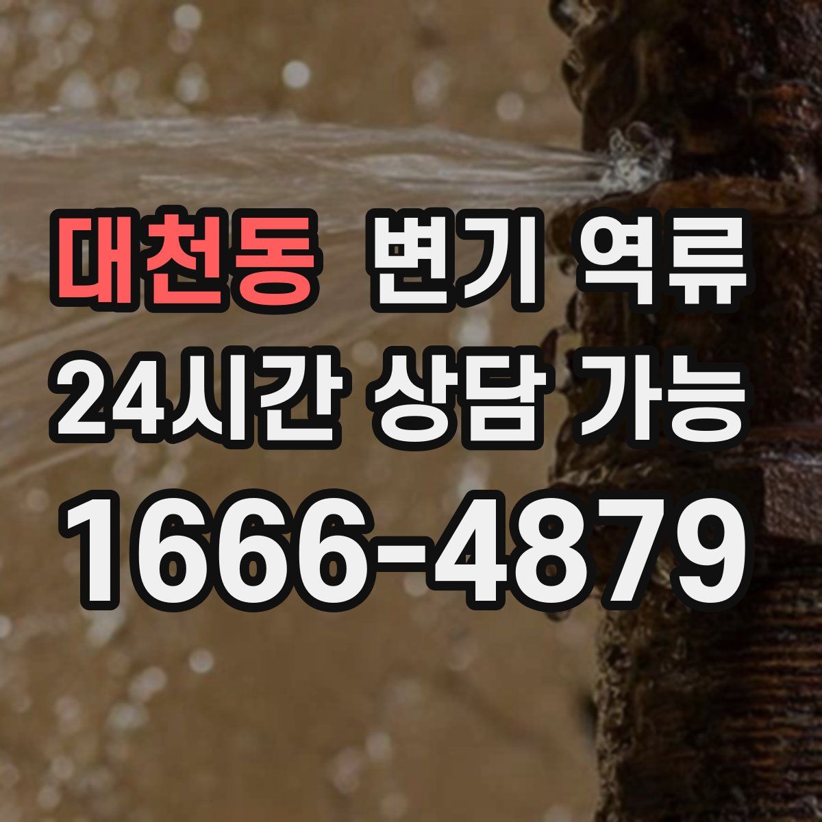 대천동 변기 역류