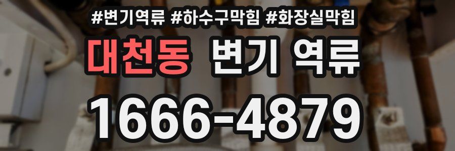 대천동 변기 역류