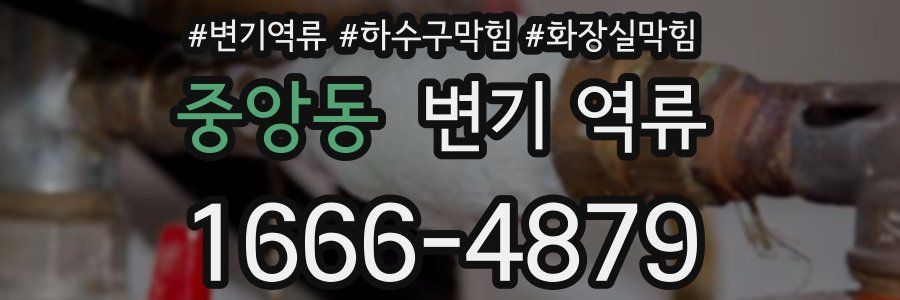 중앙동 변기 역류