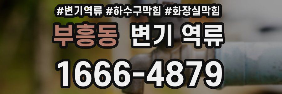 부흥동 변기 역류