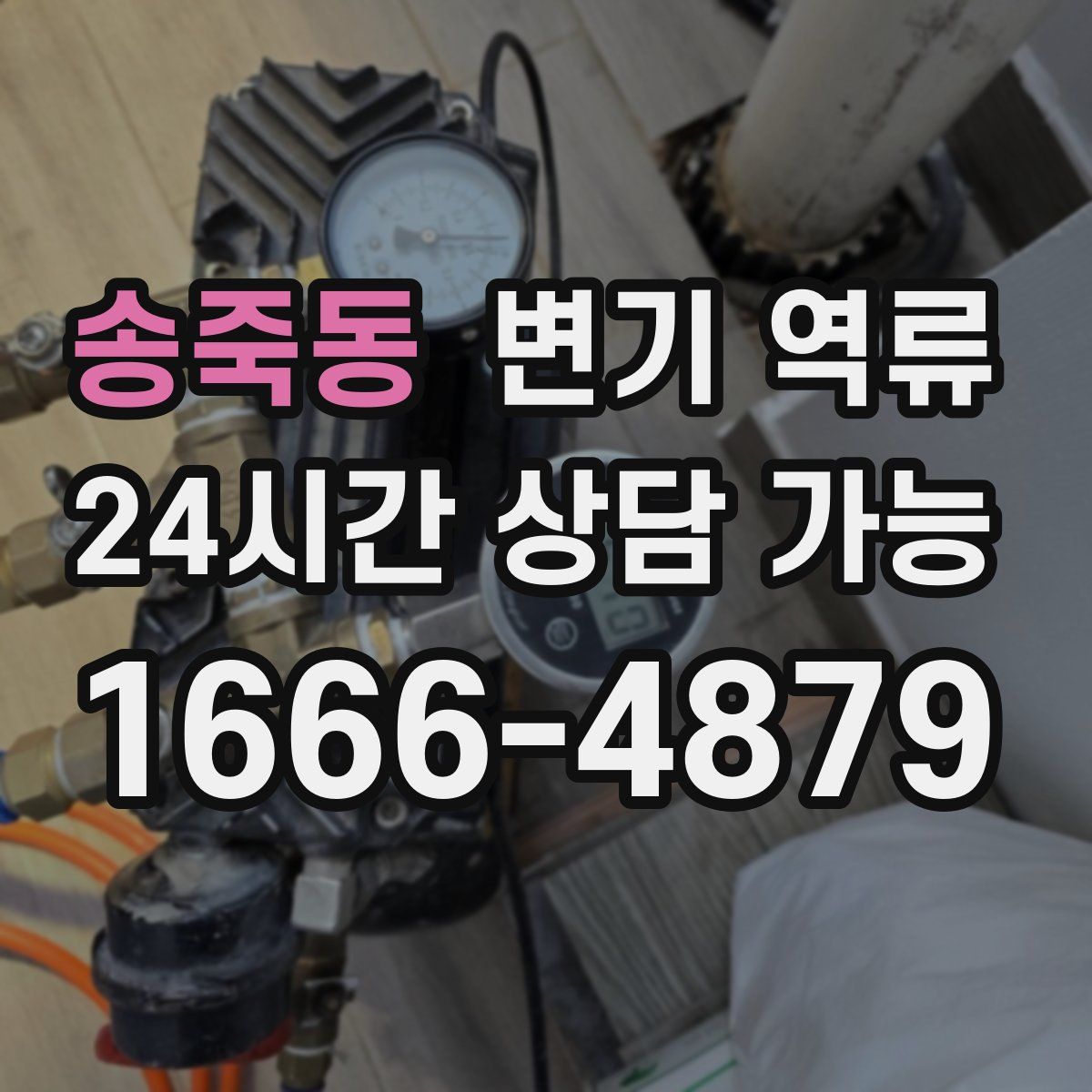 송죽동 변기 역류