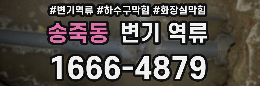 송죽동 변기 역류