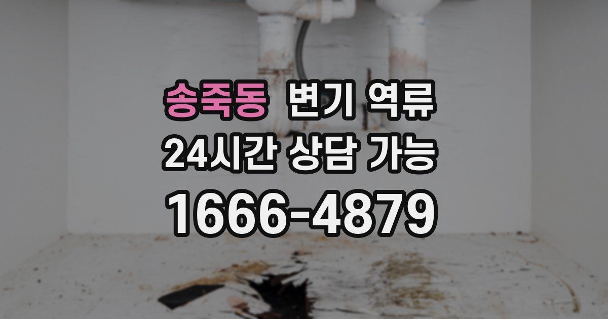 송죽동 변기 역류