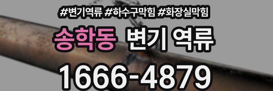 송학동 변기 역류