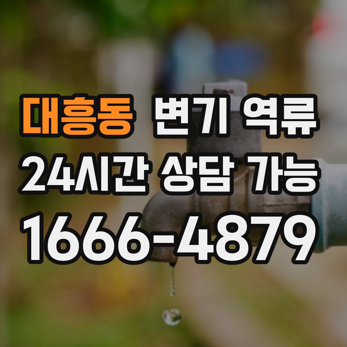 대흥동 변기 역류