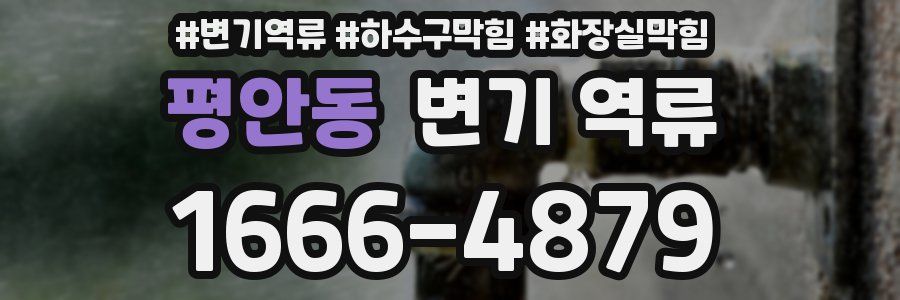 평안동 변기 역류