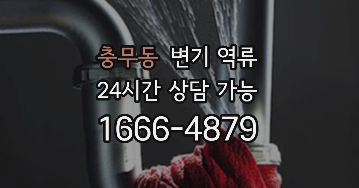 충무동 변기 역류