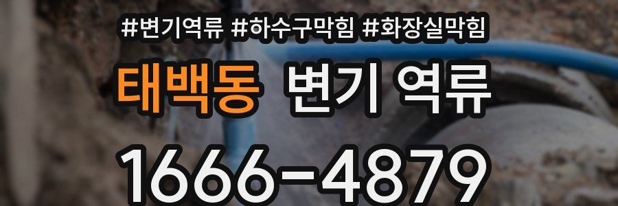 태백동 변기 역류