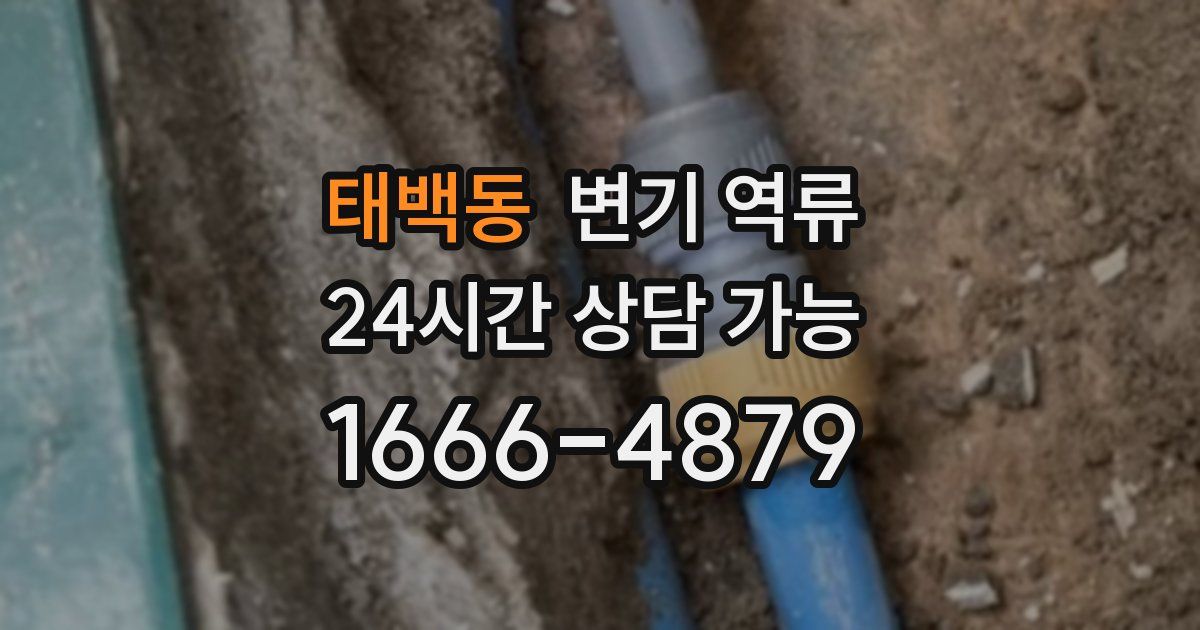 태백동 변기 역류