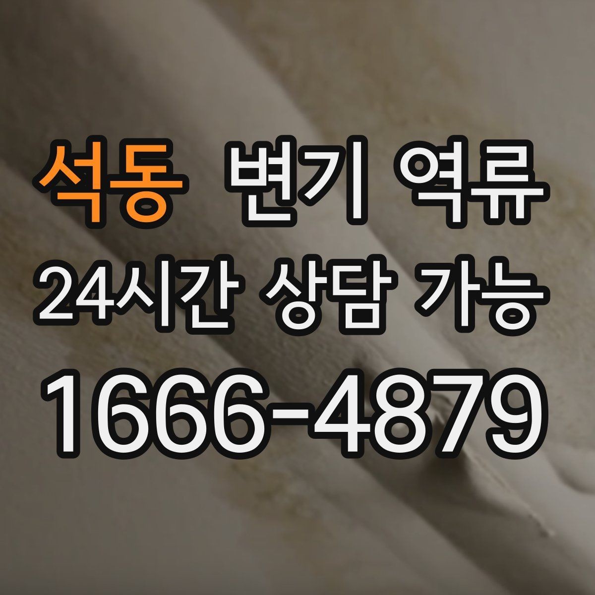 석동 변기 역류 변기만 문제인지 다른 배수구도 느린지 확인