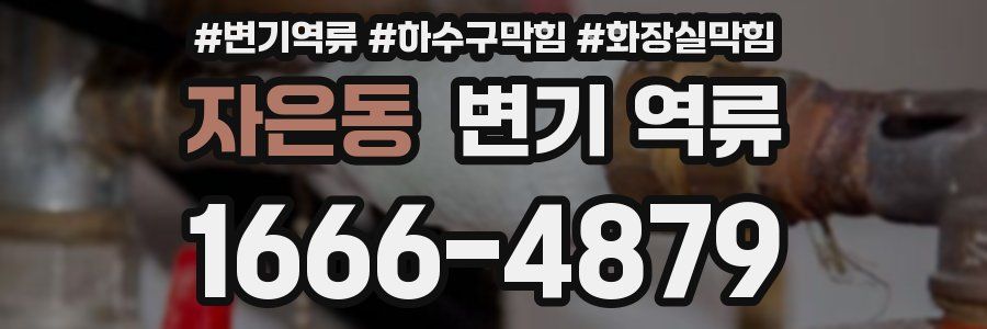 자은동 변기 역류