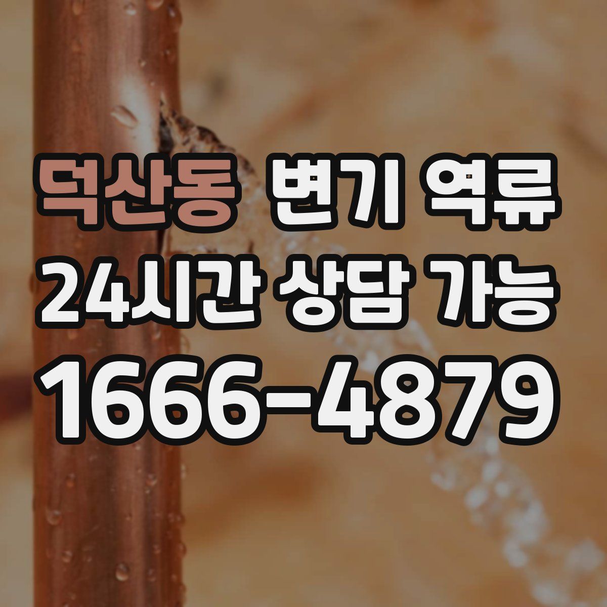 덕산동 변기 역류