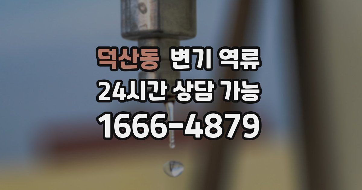 덕산동 변기 역류