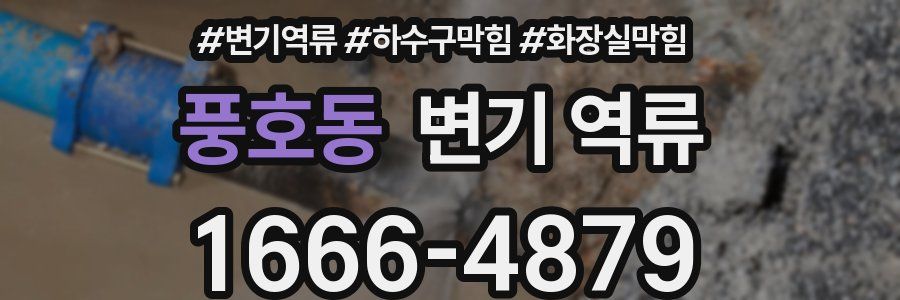 풍호동 변기 역류