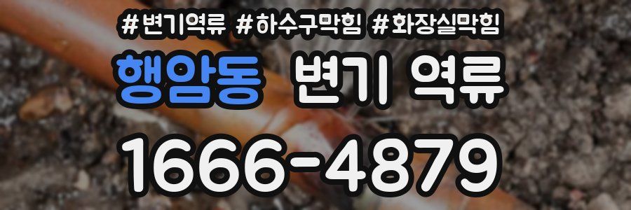 행암동 변기 역류