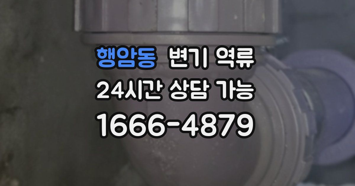 행암동 변기 역류