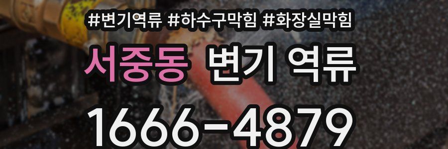 서중동 변기 역류