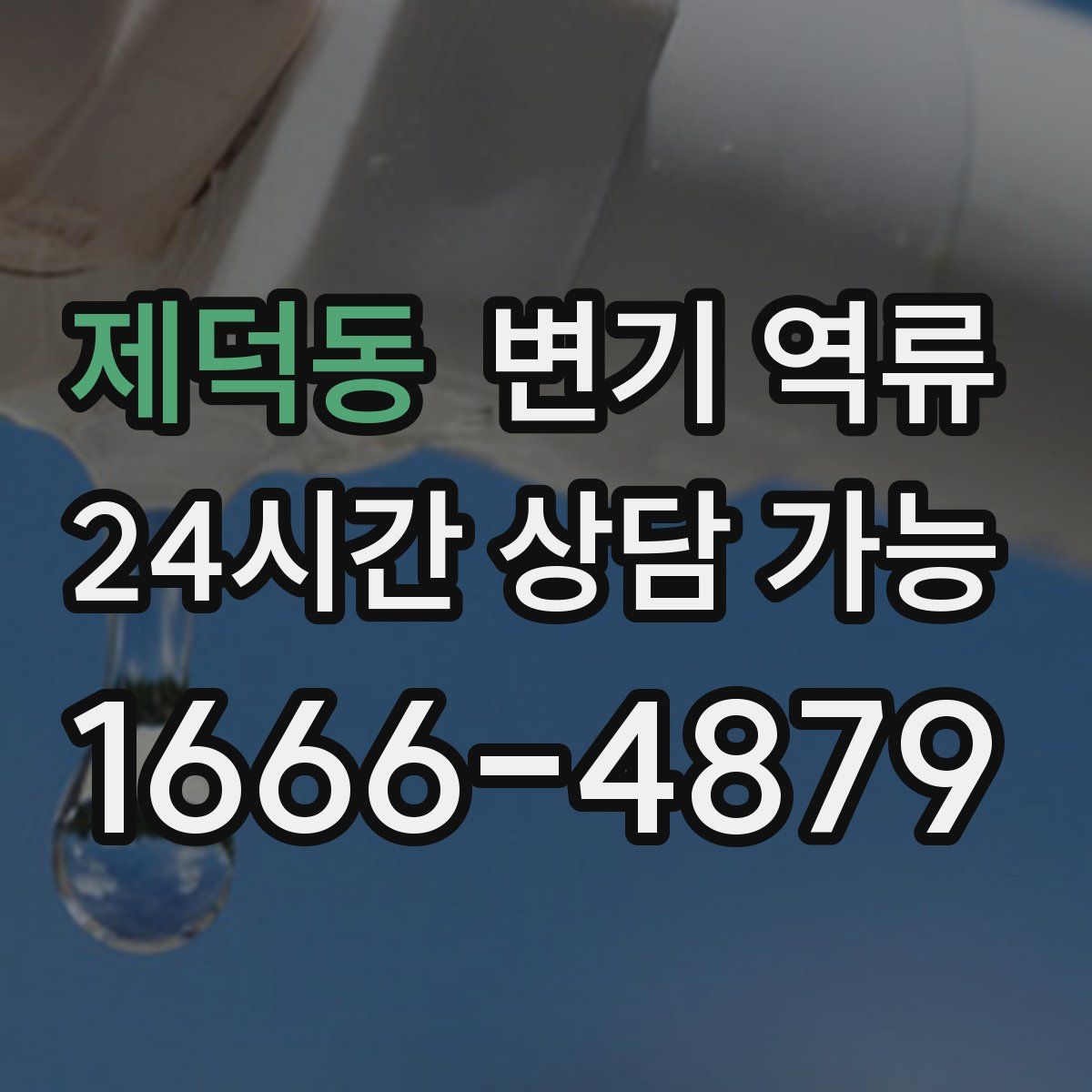 제덕동 변기 역류