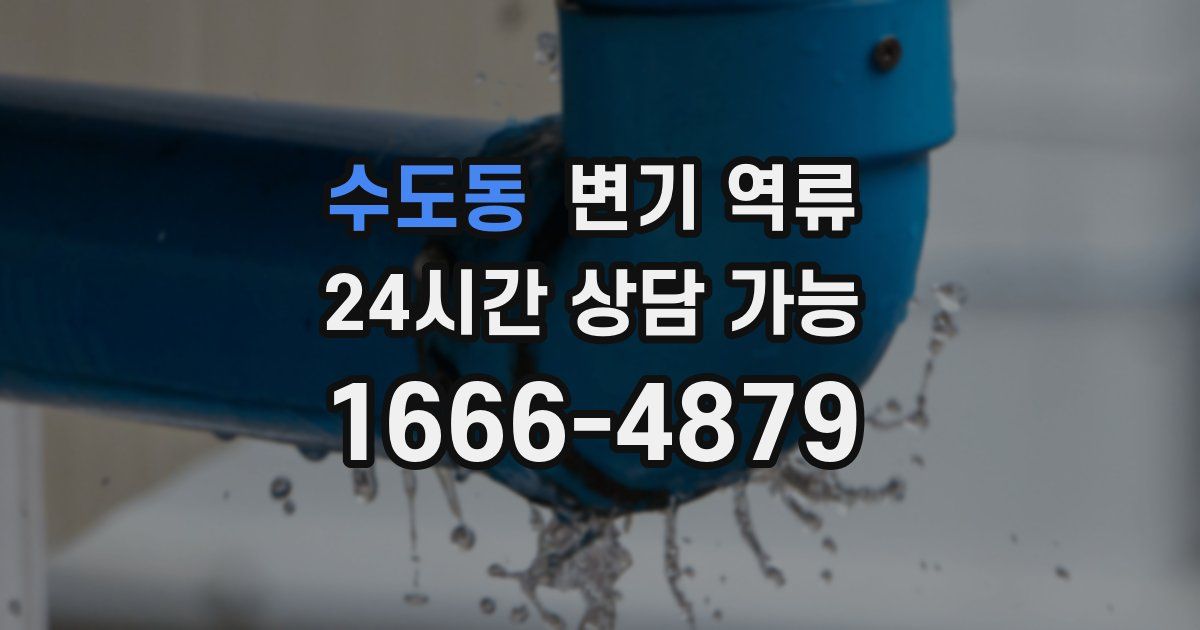 수도동 변기 역류