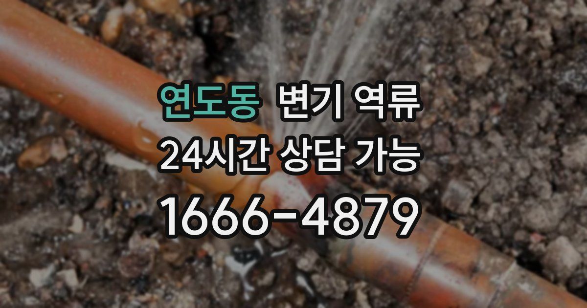 연도동 변기 역류