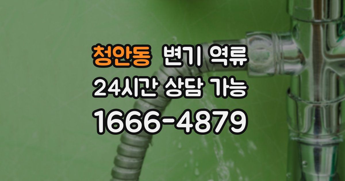 청안동 변기 역류