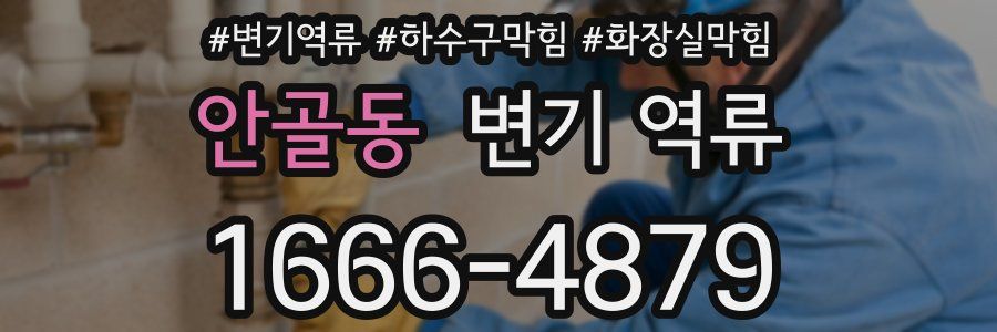 안골동 변기 역류