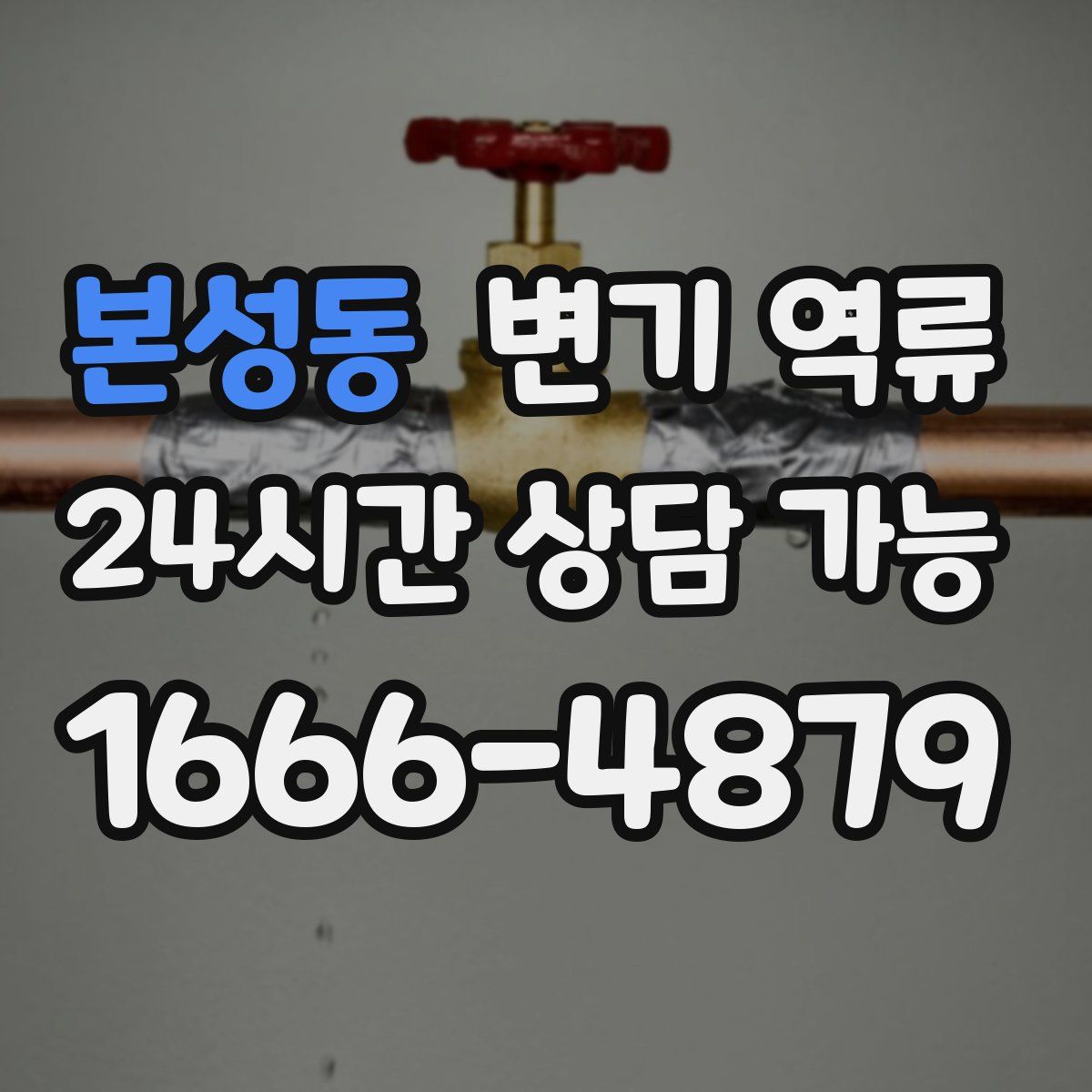 본성동 변기 역류