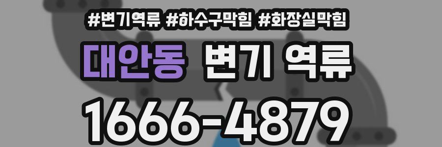 대안동 변기 역류