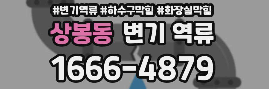 상봉동 변기 역류