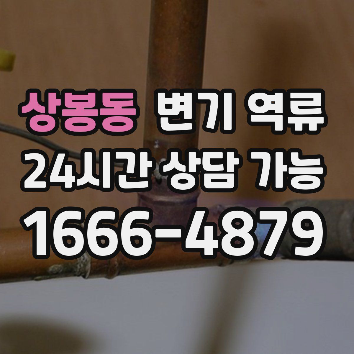 상봉동 변기 역류